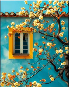 an orange and yellow window in front of a blue wall with white flowers on it