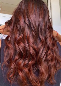 Auburn Brown Hair With Highlights, Auburn Brown Hair, Deep Auburn Hair, Light Auburn Hair Color, Brown Auburn Hair, Auburn Red Hair, Light Auburn Hair, Cheveux Oranges, Dark Auburn Hair