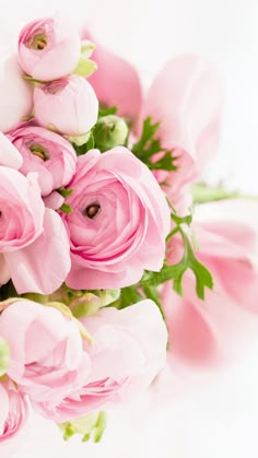 a bouquet of pink flowers on a white background