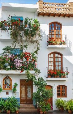 a white building with lots of windows and flowers on the balconies above it