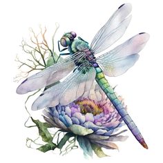 a watercolor painting of a dragonfly sitting on top of a flower