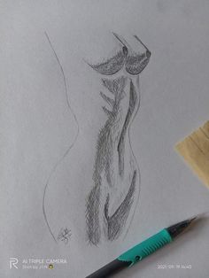 a pencil drawing of a woman's torso