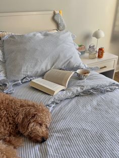 a brown dog laying on top of a bed next to an open book and lamp