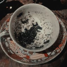 a white cup filled with dirt on top of a saucer