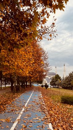 an empty road surrounded by trees with leaves on the ground and buildings in the background