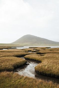 a river running through a grass covered field next to a mountain in the distance on a cloudy day