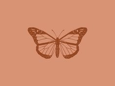 a brown butterfly on a pink background