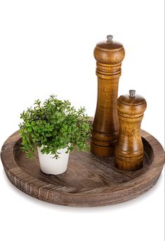 a potted plant sitting on top of a wooden tray next to two salt and pepper shakers