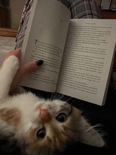 a cat laying on its back and holding an open book in it's paws