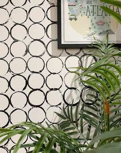 a potted plant sitting next to a white wall with black circles on the side