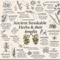 Smokeable Herbs, Herbs And Their Benefits, Smokable Herbs, Dream Herbs, Magia Das Ervas, Magic Herbs, Magical Herbs, Witch Spell Book, Herbal Healing