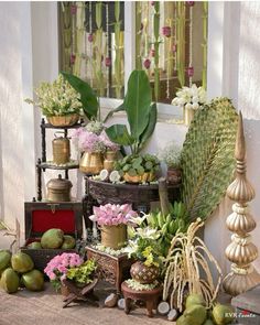 an assortment of plants and flowers on display in front of a window