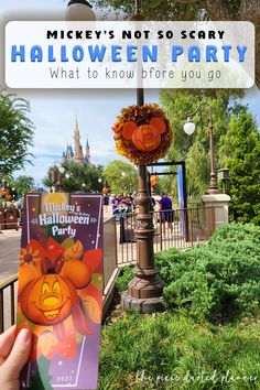 mickey's not so scary halloween party what to know before you go