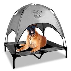 a dog laying down in a tent with sunglasses on it's head