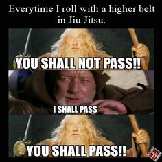 an old man with long blonde hair holding a stick in his hand and the caption that says, you shall not pass