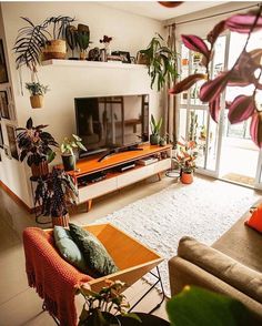 a living room filled with lots of plants next to a flat screen tv mounted on a wall