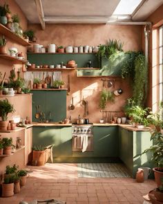 a kitchen filled with lots of potted plants next to a stove top oven covered in pots and pans