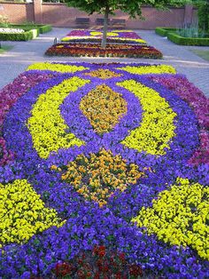 a garden with many different flowers in it