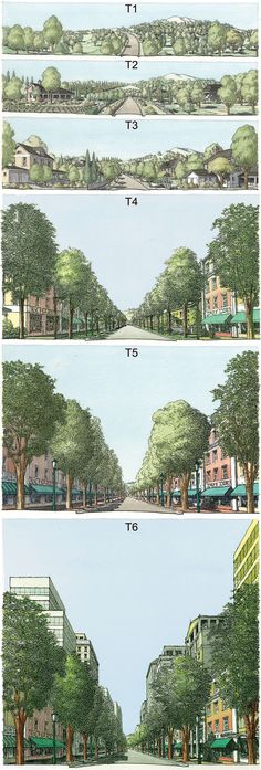 four different views of trees and buildings in the same area, each with their own street name