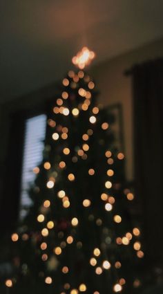 a blurry christmas tree with lights in the background