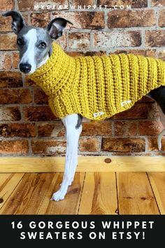 Whippet Sweaters Pet Sweaters, Whippet Dog, Cute Blankets, Dog Jumpers, Puppies And Kitties, Doll Wardrobe, Crochet For Boys, Pet Fashion