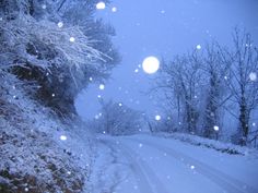 a snowy road with trees on both sides and snow flakes all over the ground