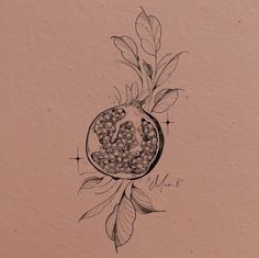 an ink drawing of a pomegranate with leaves and berries on the top