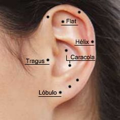 the ear has four different types of piercings in each one side, and two are labeled