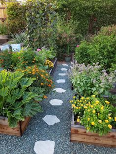 a garden filled with lots of different types of flowers and plants on top of gravel