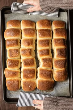 homemade sourdough parr house dinner rolls in a baking pan with text overlay