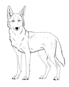 a line art drawing of a wolf