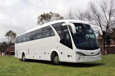 a large white bus parked on top of a lush green field in front of a building