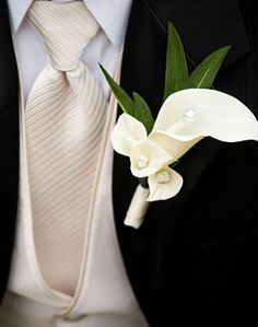 a man in a suit and tie with a flower on it's lapel