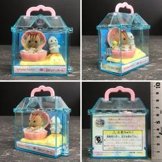 four pictures of an animal in a plastic container