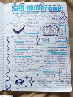 an open notebook with writing on it and some notes about cell membranes written in blue ink