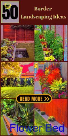 the cover of 50 border landscaping ideas read more > flower bed, garden beds, and planters