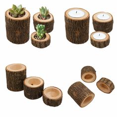 wooden logs with candles and succulents are arranged in the shape of trees