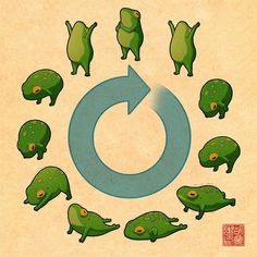 an image of a group of alligators in the shape of a circle with arrows pointing to them