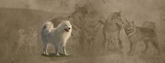 a white dog standing in front of a group of dogs on a wall with the word,