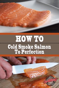 Smoked Fish Recipe, Bacon Explosion, Cold Smoker, Backyard Smokers, Bbq Roast, Smoked Salmon Recipes, Smoked Food, Iron Grill, Smoked Cheese