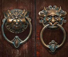 an ornate door handle with a lion's head on the front and back of it