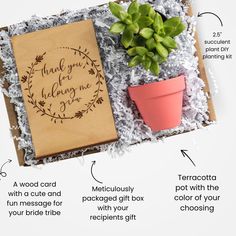 Gifts don't always need to be complex to be memorable. Our 'Thank You for Helping Me Grow' Succulent Gift Box is an ideal way to express your gratitude to educators, mentors, and professors who have played a pivotal role in your growth. The succulent kit, which includes a carefully selected and nurtured succulent plant, is a beautiful symbol of growth and endurance. Show them how much they mean to you. Shop now! Gift Boxes For Women