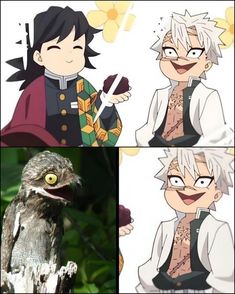 three different pictures of an anime character with white hair and green eyes, one has a bird on his arm