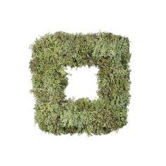 the letter d made out of moss