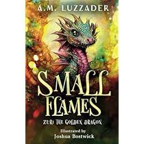 a book cover with an image of a dragon on the front and bottom, which reads'small flames '