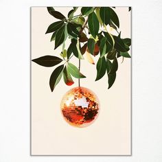 a disco ball hanging from a tree branch with leaves on it's sides and an orange background