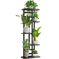 Portapiante Scaffale 5 Ripiani 43x23 Plant Shelves Outdoor, Tiered Plant Stand Indoor, Corner Plant, Tall Plant Stands, Support Pour Plante, Indoor Flower Pots, Plant Stands Outdoor, Support Plante, Corner Garden