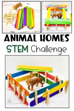 Colorful popsicle sticks, plastic animal figures and clothes pins are all shown.  There is a picture of an animal home made from the materials with a plastic tiger inside. Home Animals Preschool, Animals Homes Activities, Zoo Theme For Preschoolers, Preschool Zoo Animal Activities, Savannah Animals Preschool, Animal Families Preschool, Zoo Animals Kindergarten Activities, Animals And Habitats Activities, Animals Around The World Preschool