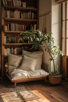 a living room with bookshelves, couch and potted plant in the corner