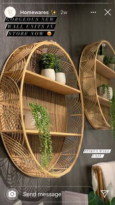 two wooden shelves with plants on them in front of a gray wall and text that reads homewares